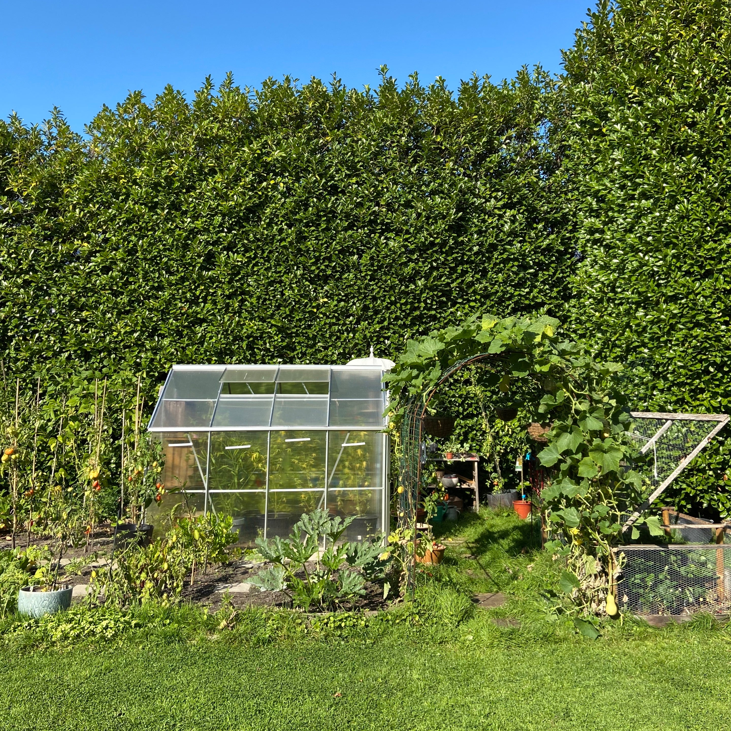 Moestuin groentetuin