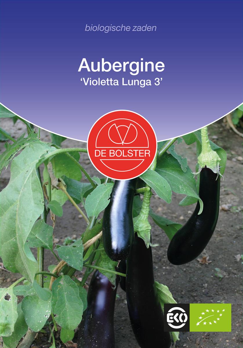 Aubergine Aubergine 'Violetta Lunga 3 Biologisch