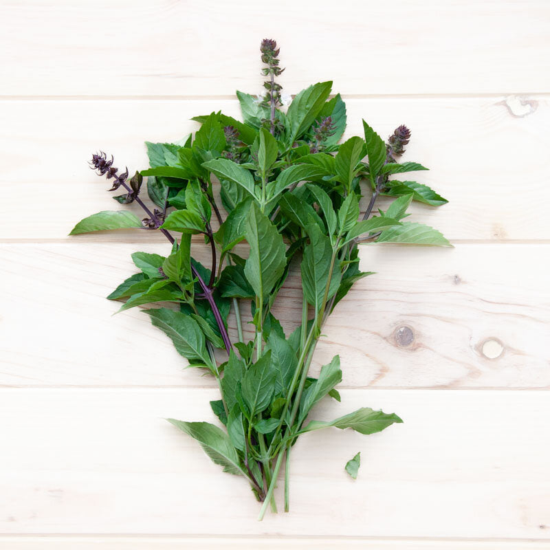 Basilicum Drop biologisch