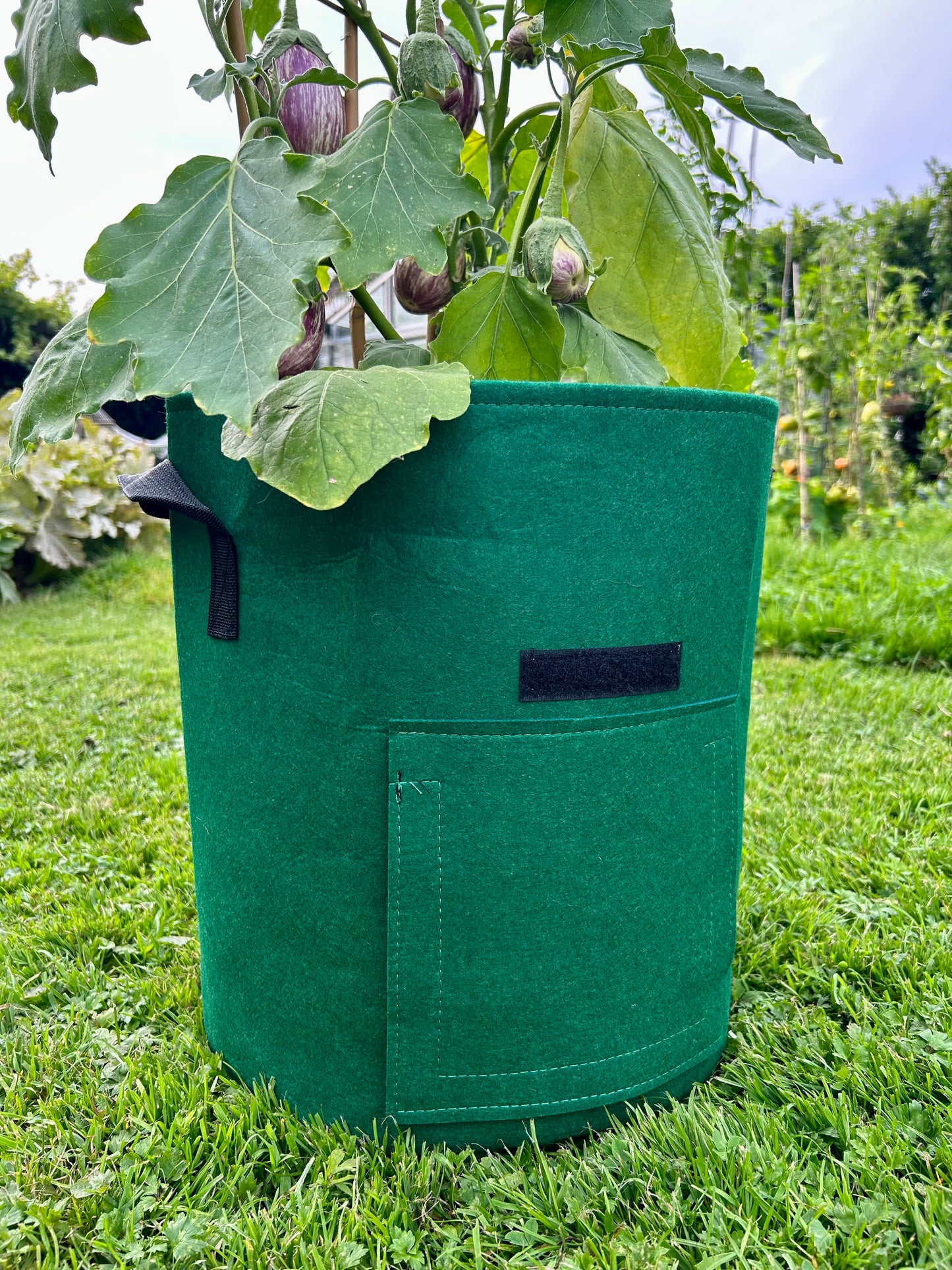 Feggies Grow Bags || 37 liter