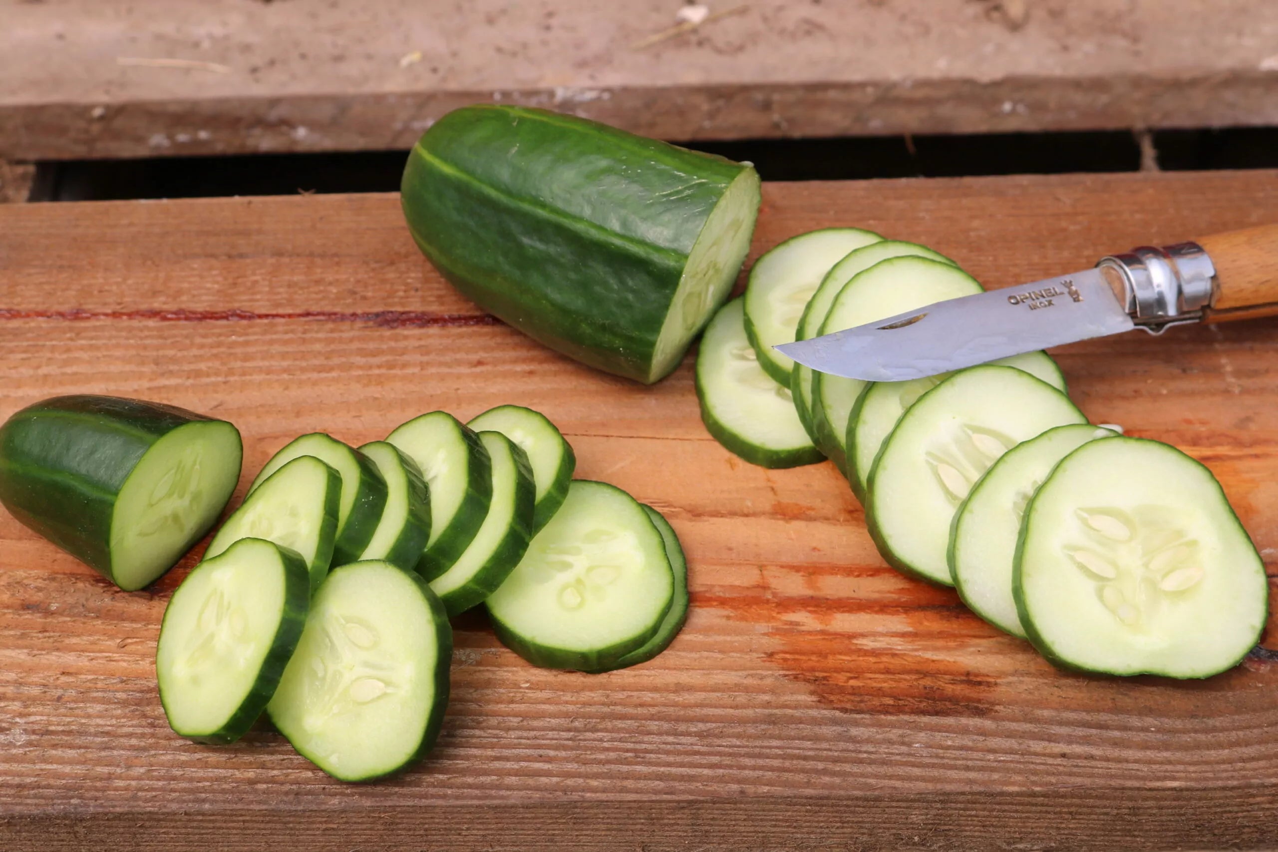 Potkomkommer Antje biologische zaden