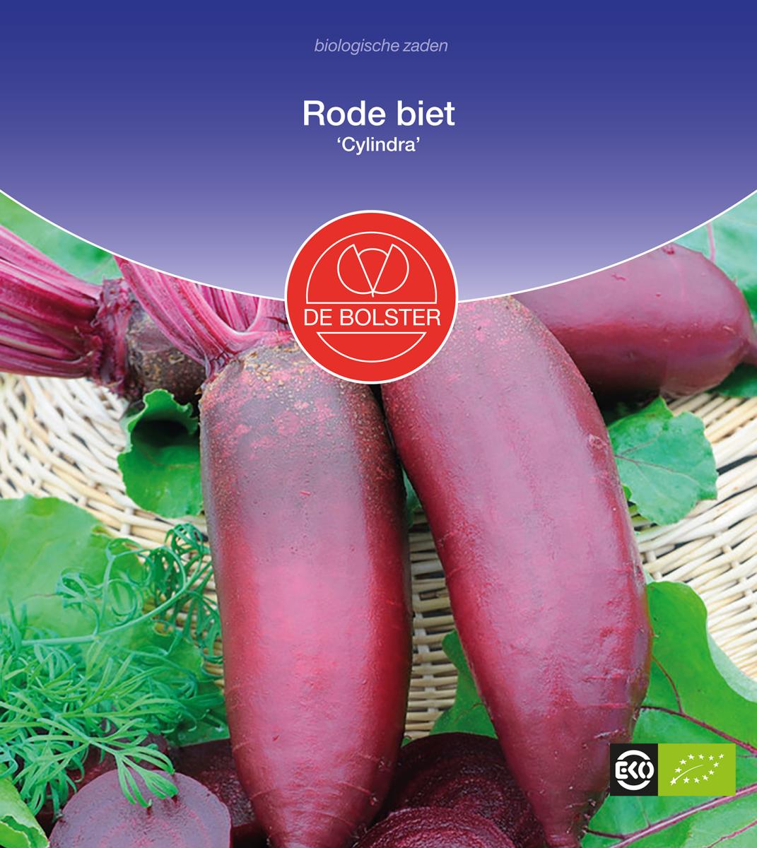 Rode biet 'Cylindra' Biologisch