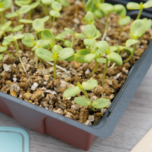 Vermiculiet 3,5L doos