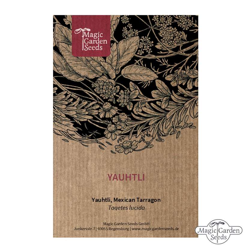 Tagetes Lucida (Mexicaanse Tarragon) zaden Biologisch