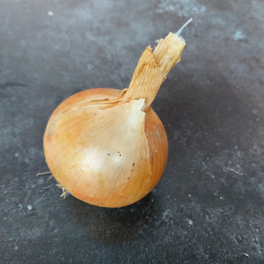 Ui Sturon 500gram Biologisch