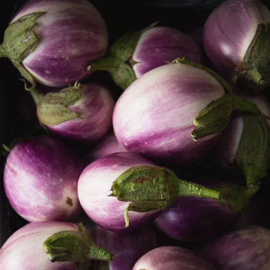 Aubergine Rotonda bianca sfumata di rosa zaden biologisch