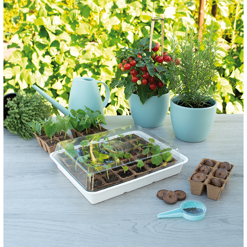 Eco kweekbak incl. 30 turfpotjes