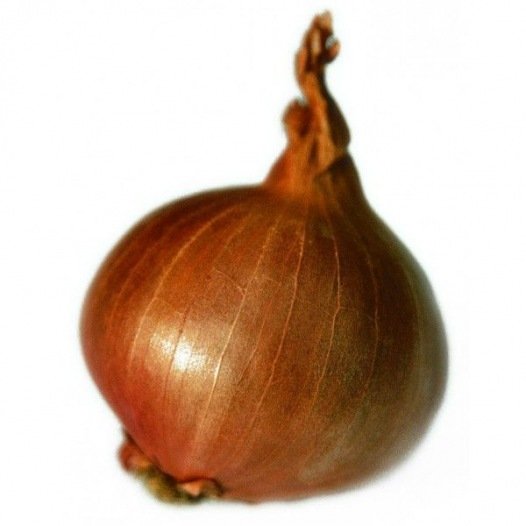 Sjalot Red Sun 250G Biologisch