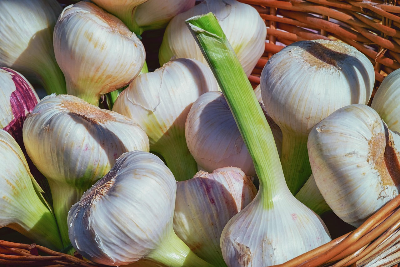 De populairste moestuinzaden in de herfst