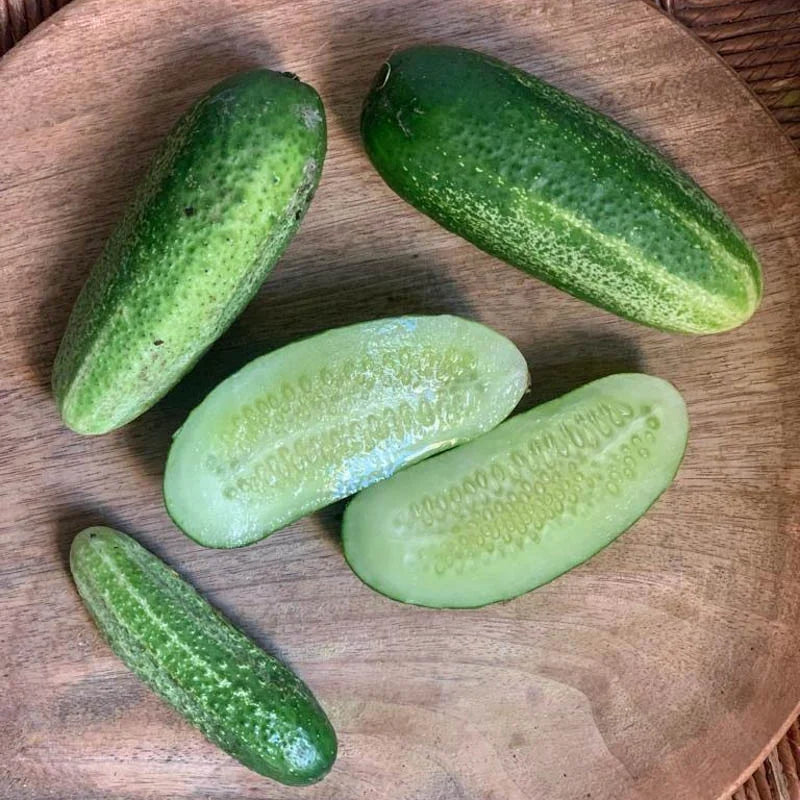 Snack komkommer Bushy Biologisch - Feggies