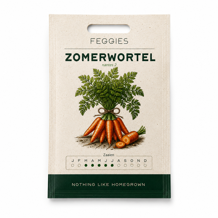 Zomerwortel nantes 2 – biologische groentezaden (zoet en recht)