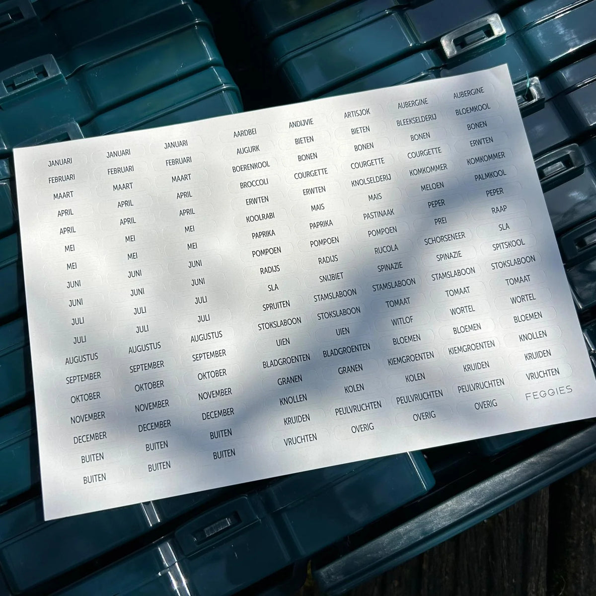Feggies extra stickervel