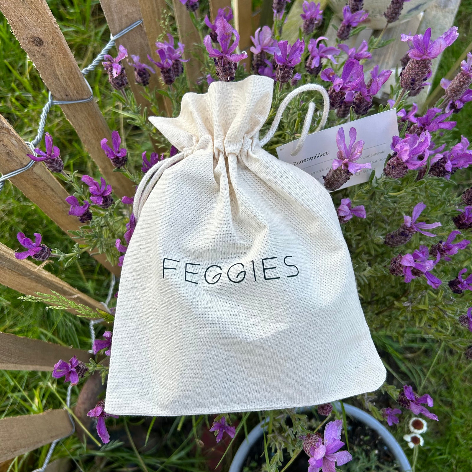 Biologische Theetuin Zadenset - Feggies