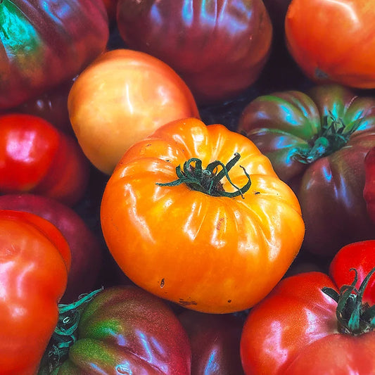 Gekleurde Tomaten Mix