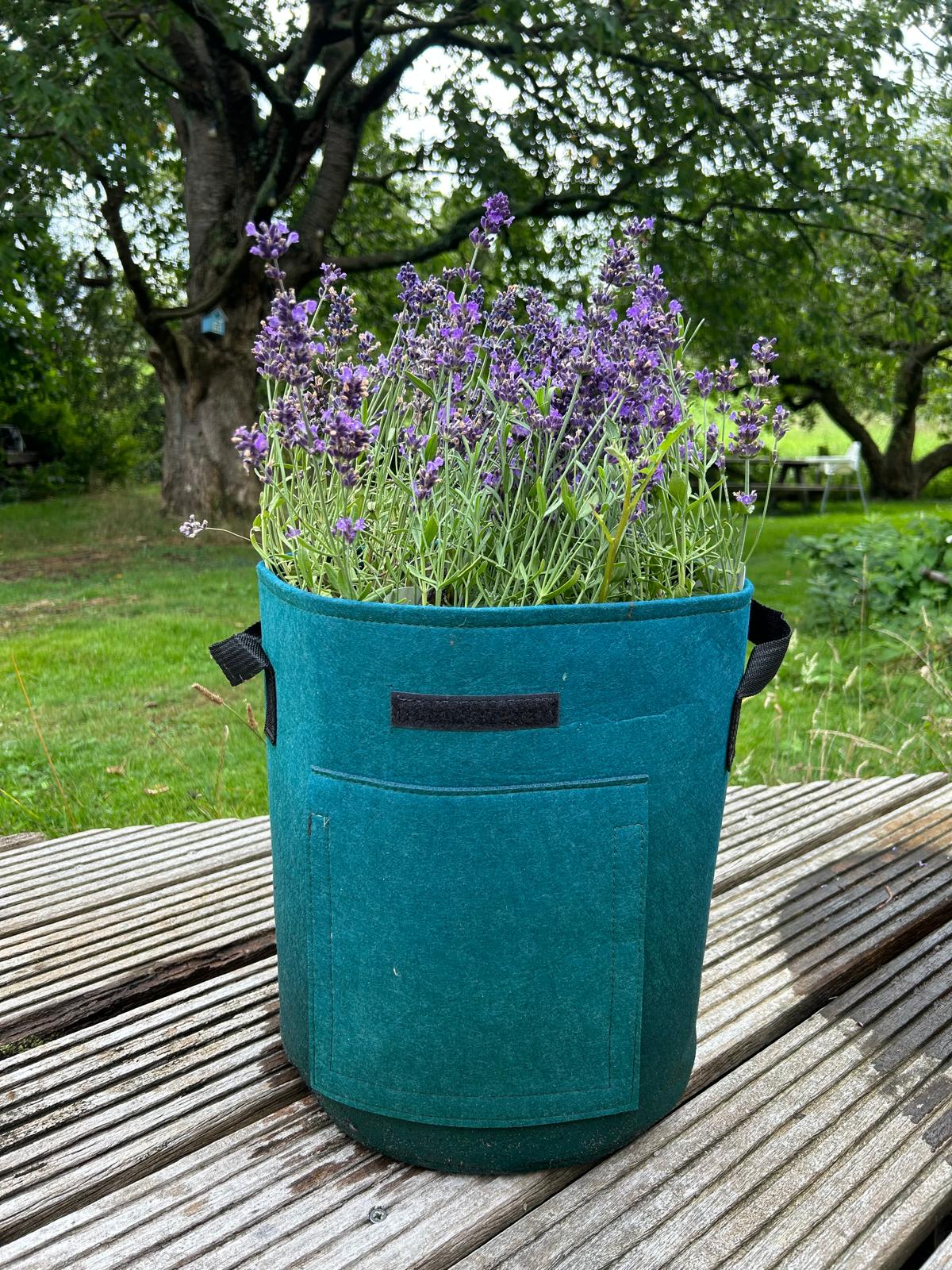 Feggies Grow Bag Set