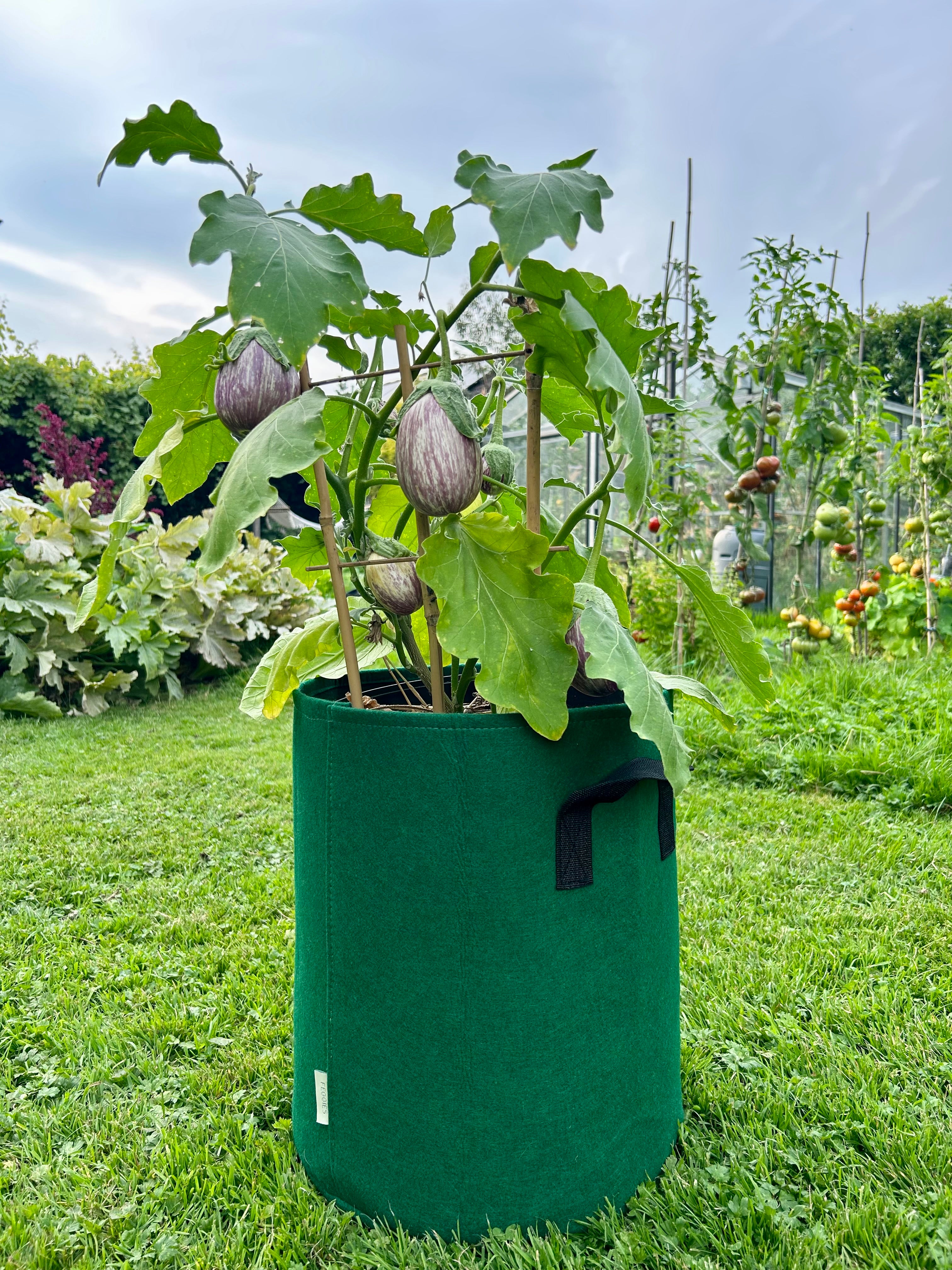 Feggies Grow Bags || 26 liter