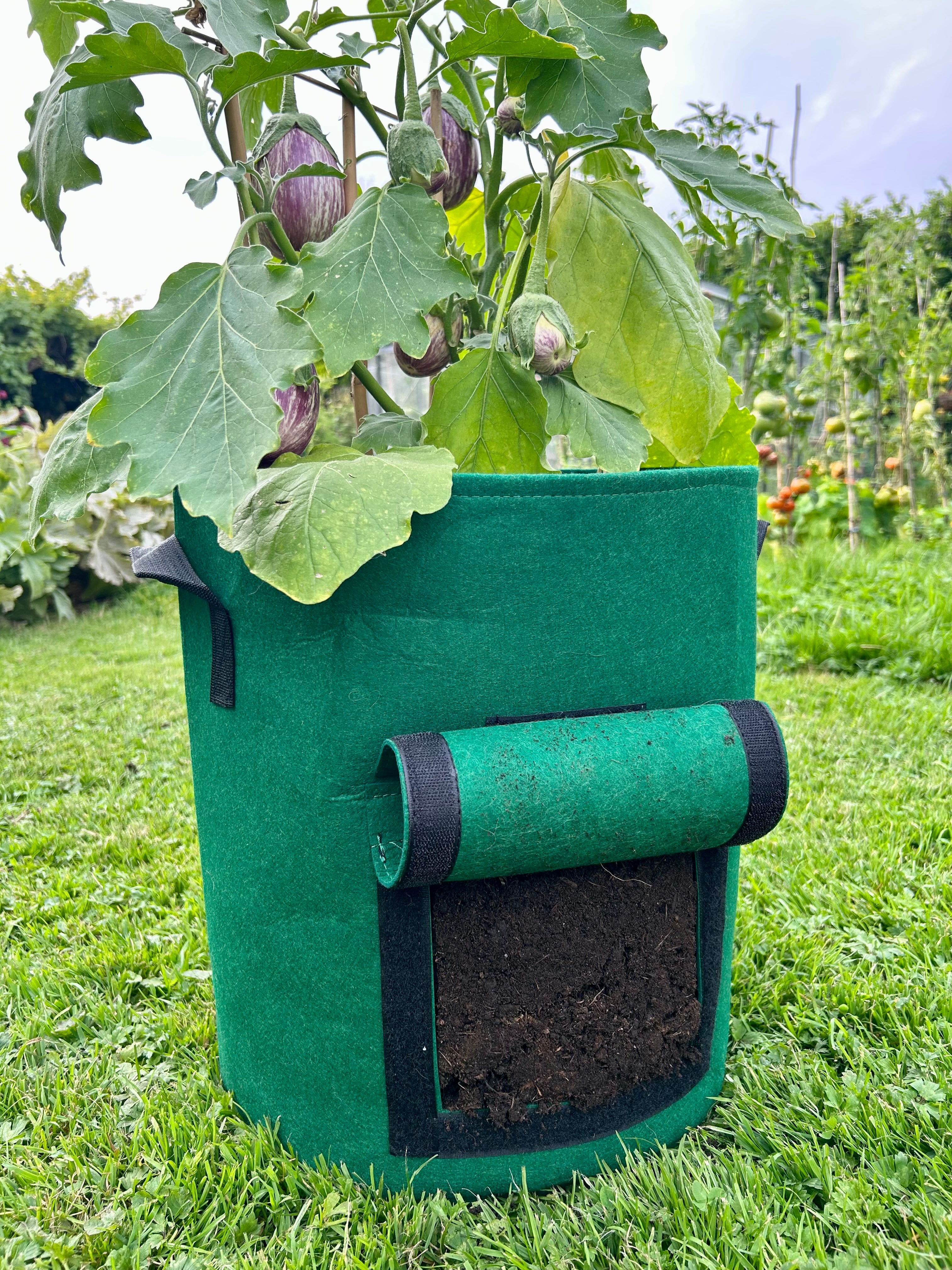 Feggies Grow Bags || 26 liter