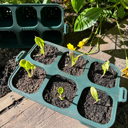 Feggies opvouwbare zaaitray