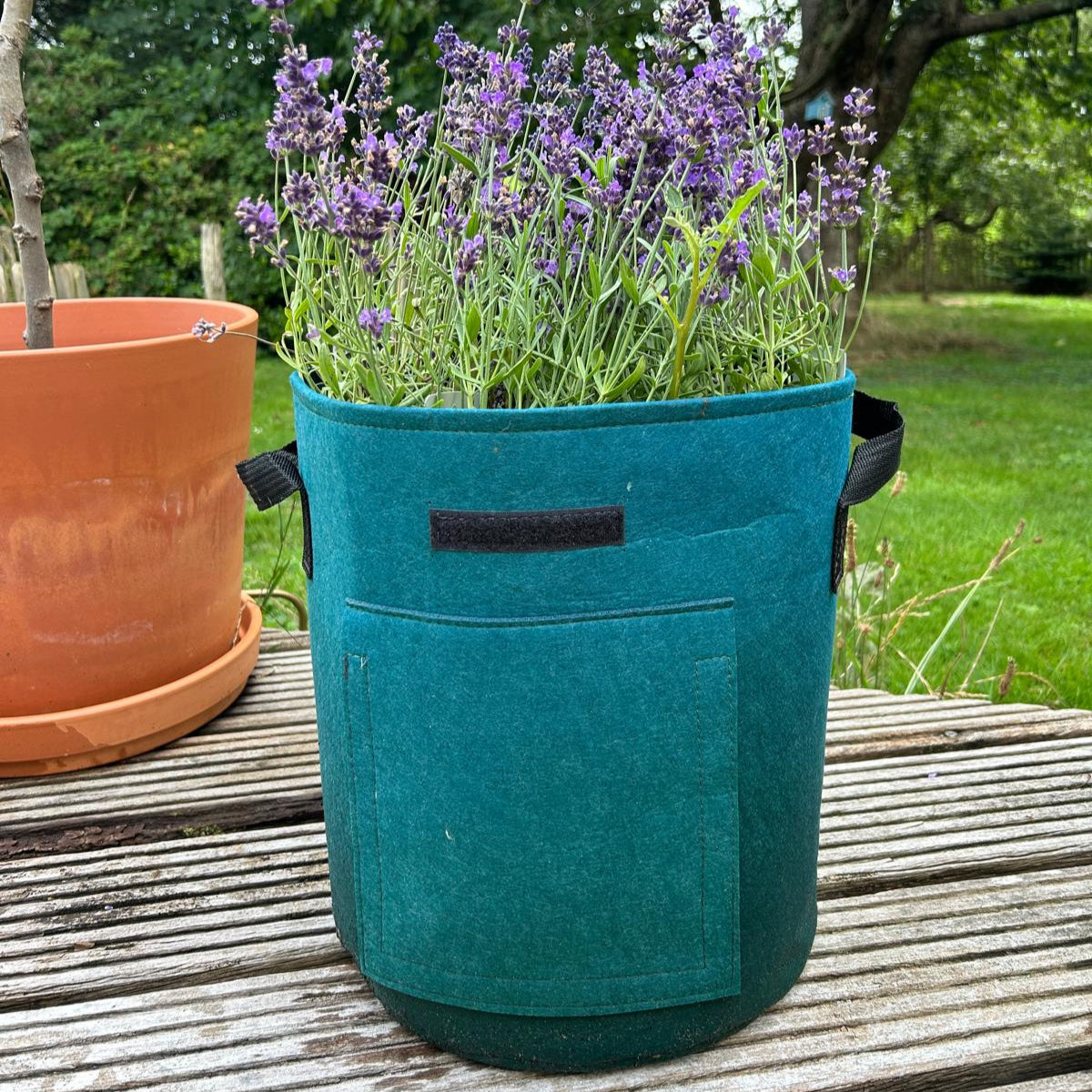Feggies Grow Bags || 26 liter