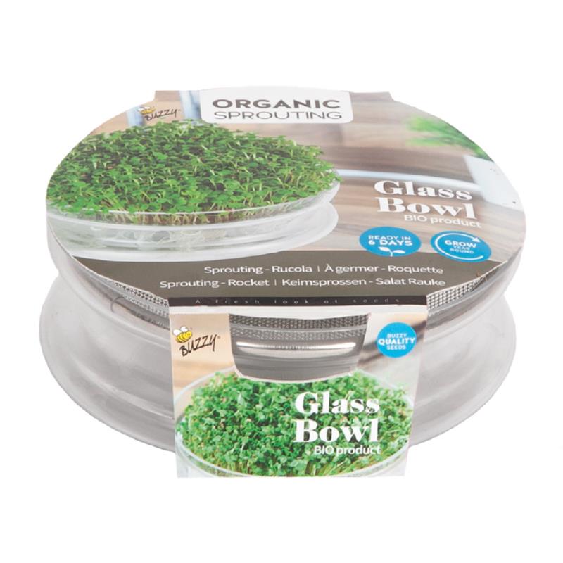 Organic Sprouting Glazen Bowl met Rucola - Feggies
