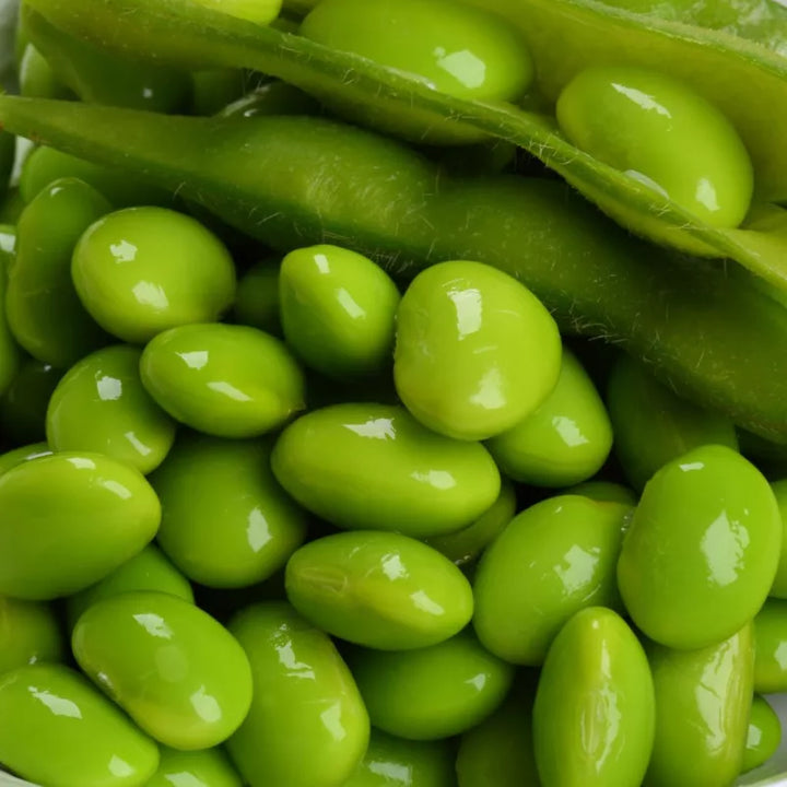 Sojaboon / Edamame ‘Chiba Green’ (Glycine max) – biologische zaden
