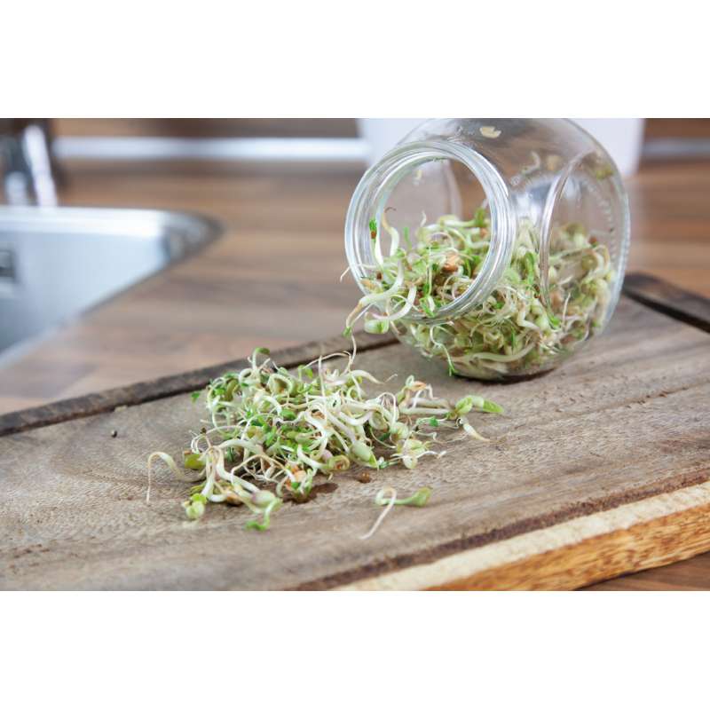 Organic Sprouting pot Salademix BIO