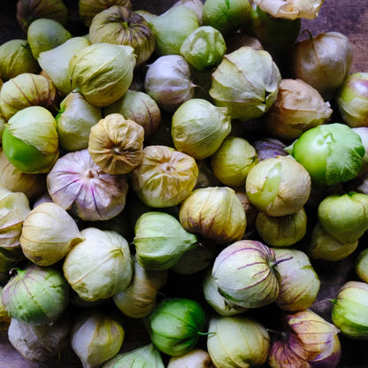 Tomatillo / Toma verde (Physalis ixocarpa) – biologische zaden