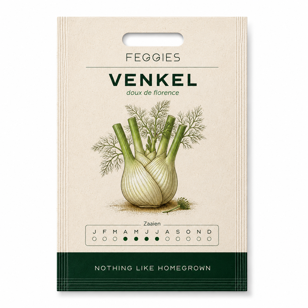 Venkel doux de florence – biologische groentezaden (anijssmaak)