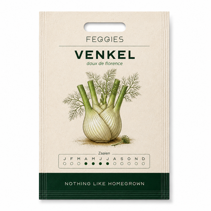 Venkel doux de florence – biologische groentezaden (anijssmaak)