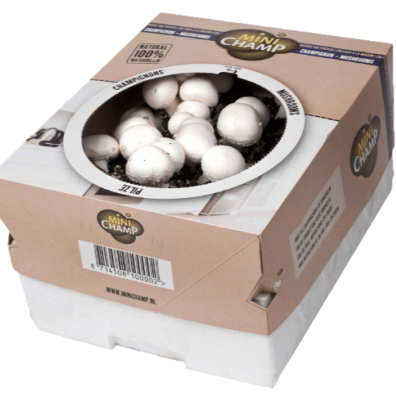 Kweekset witte champignons 7,5L
