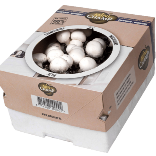 Kweekset witte champignons 7,5L