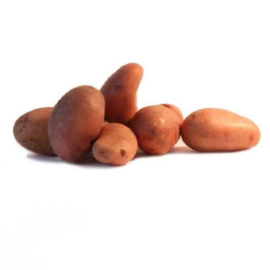 Aardappel Jeannette 1KG Biologisch (vroege variëteit)