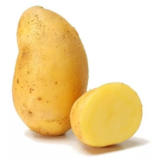 Aardappel Nicola 1KG Biologisch (vroege/bewaarvariëteit) - Feggies