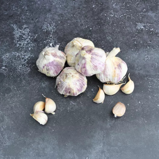 Paarse herfstknoflook Germidour Biologisch - Feggies