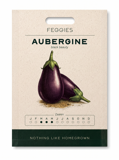 Aubergine black beauty – biologische auberginezaden (glanzend paars)