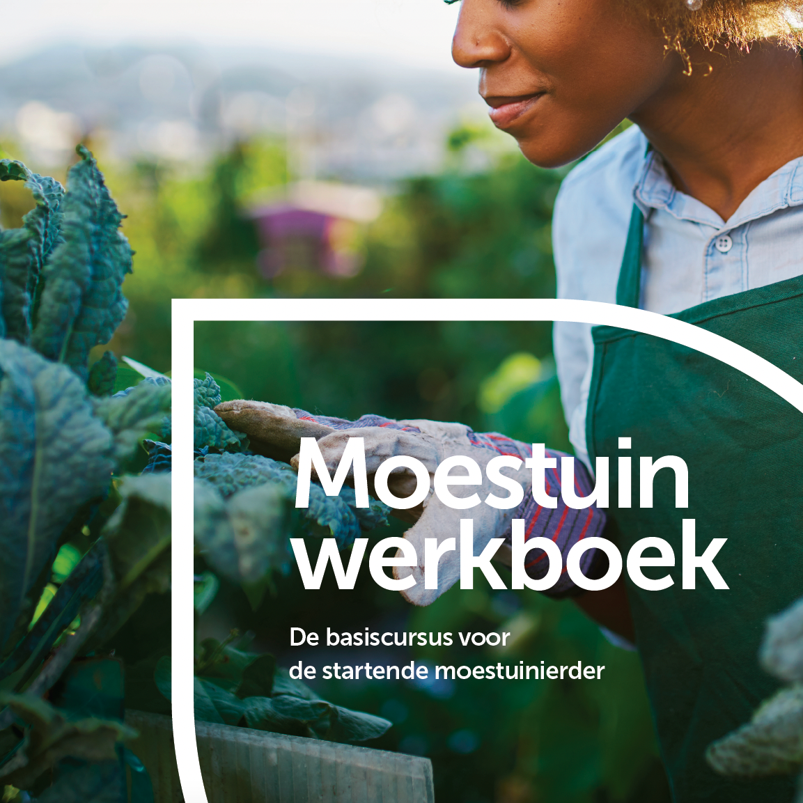 Feggies Basiscursus Werkboek Geprint - Feggies