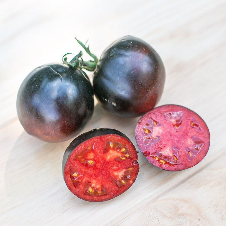 Tomaat ‘Blue Dawg Indigo’ (Solanum lycopersicum) – biologische zaden