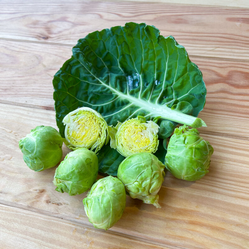 Spruitkool ‘Darkmar’ (Brassica oleracea) – biologische zaden - Feggies