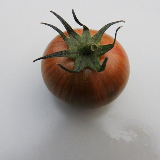 Kerstomaat Purple Bumble Bee - Feggies