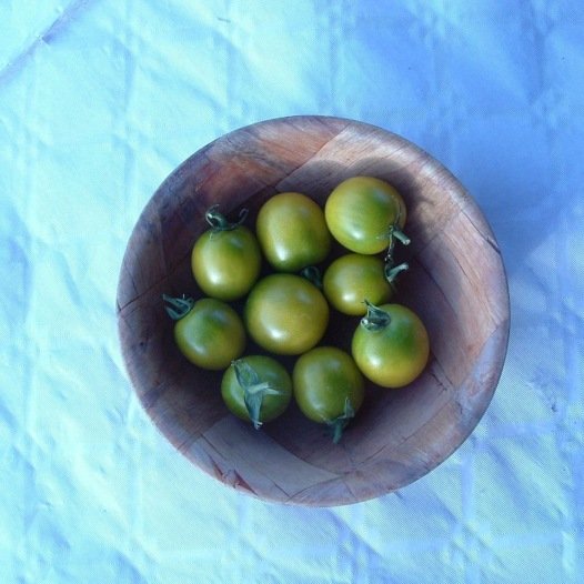 Kerstomaat Raisin Vert - Feggies