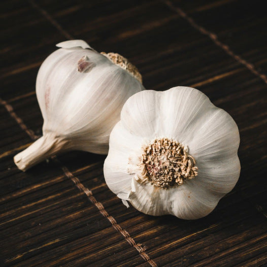 Knoflook roos lente Clédor biologisch - Feggies