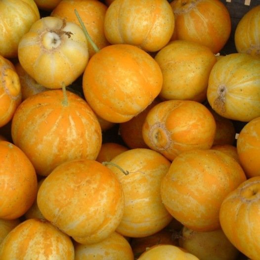 Komkommer Lemon biologische zaden - Feggies