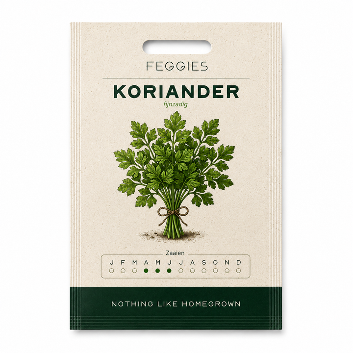 Koriander fijnzadig – biologische kruidenzaden (langzaam schietend)