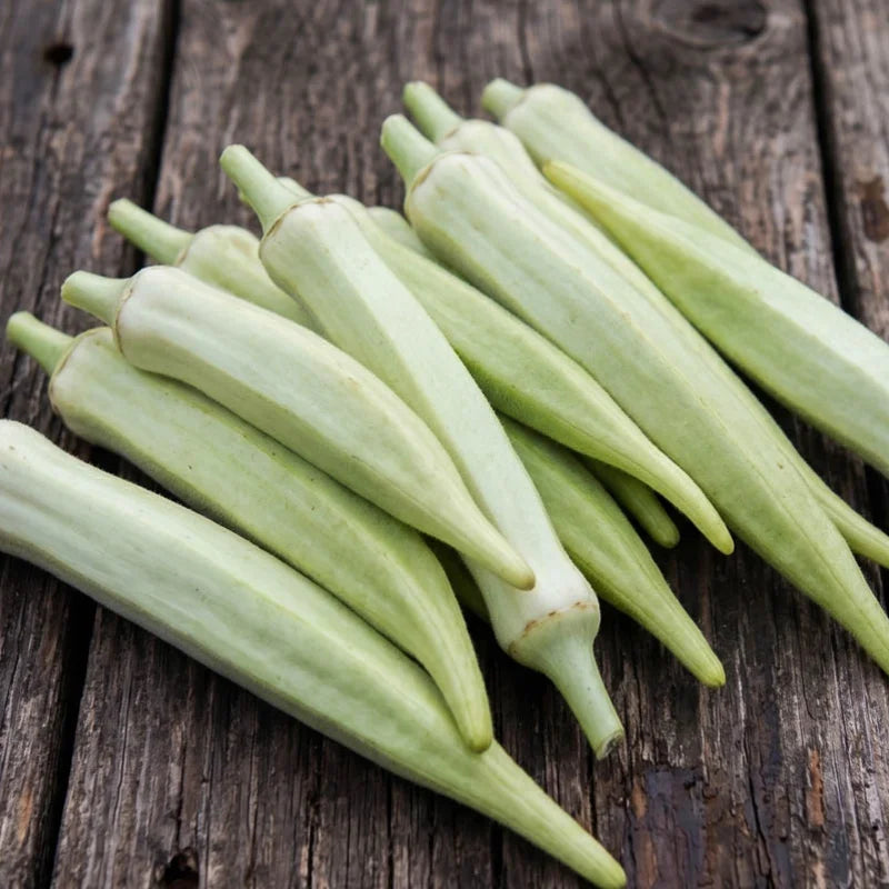 Okra White Velvet zaden - Feggies