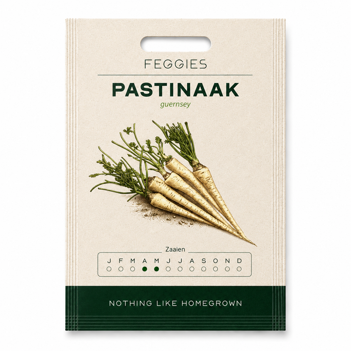 Pastinaak guernsey – biologische groentezaden (zachte zoete smaak)