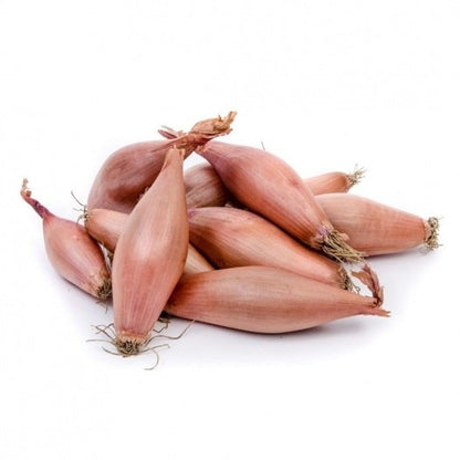 Sjalot Longor 250gram Biologisch