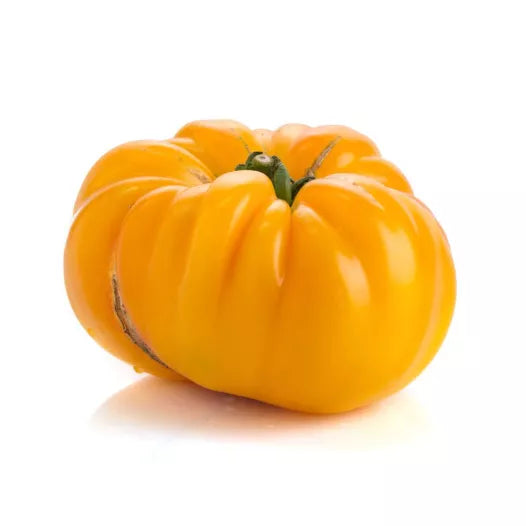 Tomaat Pamplemousse du Grand-Père zaden