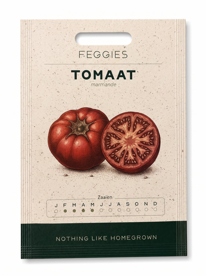 Tomaat marmande – biologische tomatenzaden (grote vruchten)