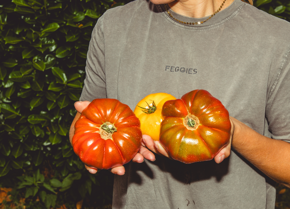 Vrouw met zelfgekweekte tomaten