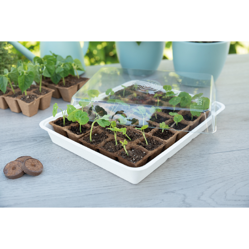 Eco kweekbak incl. 30 turfpotjes - Feggies